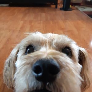 Meet your Posher, Cathy